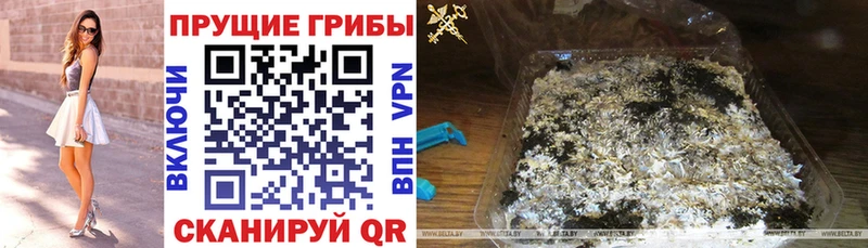 хочу   Ветлуга  Псилоцибиновые грибы прущие грибы 